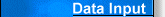 Data Input